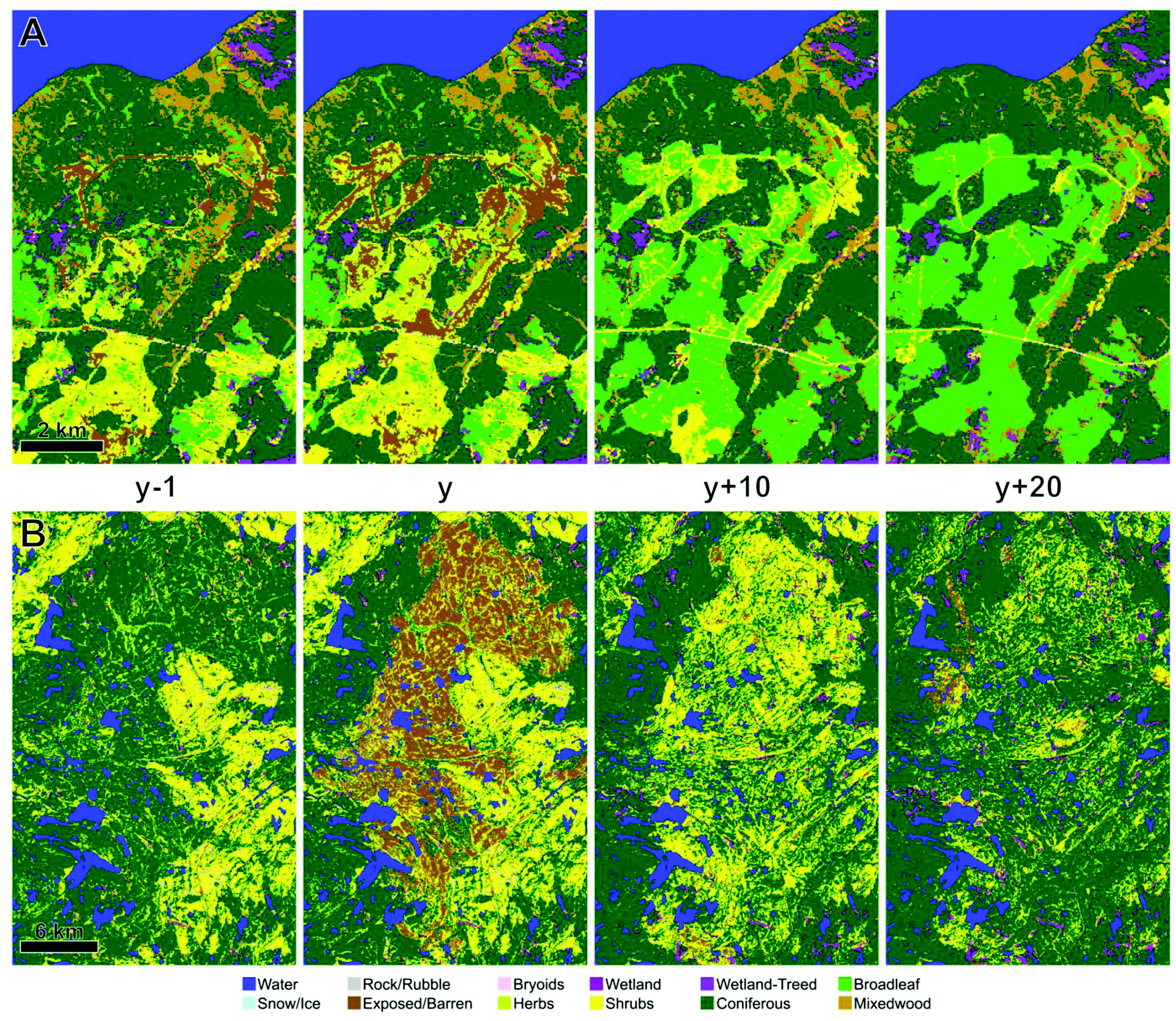 Temporal sequences depicting landcover before and after (a) harvesting and (b) fire. The year of change is represented by 'Y' [@hermosilla_disturbance-informed_2018].