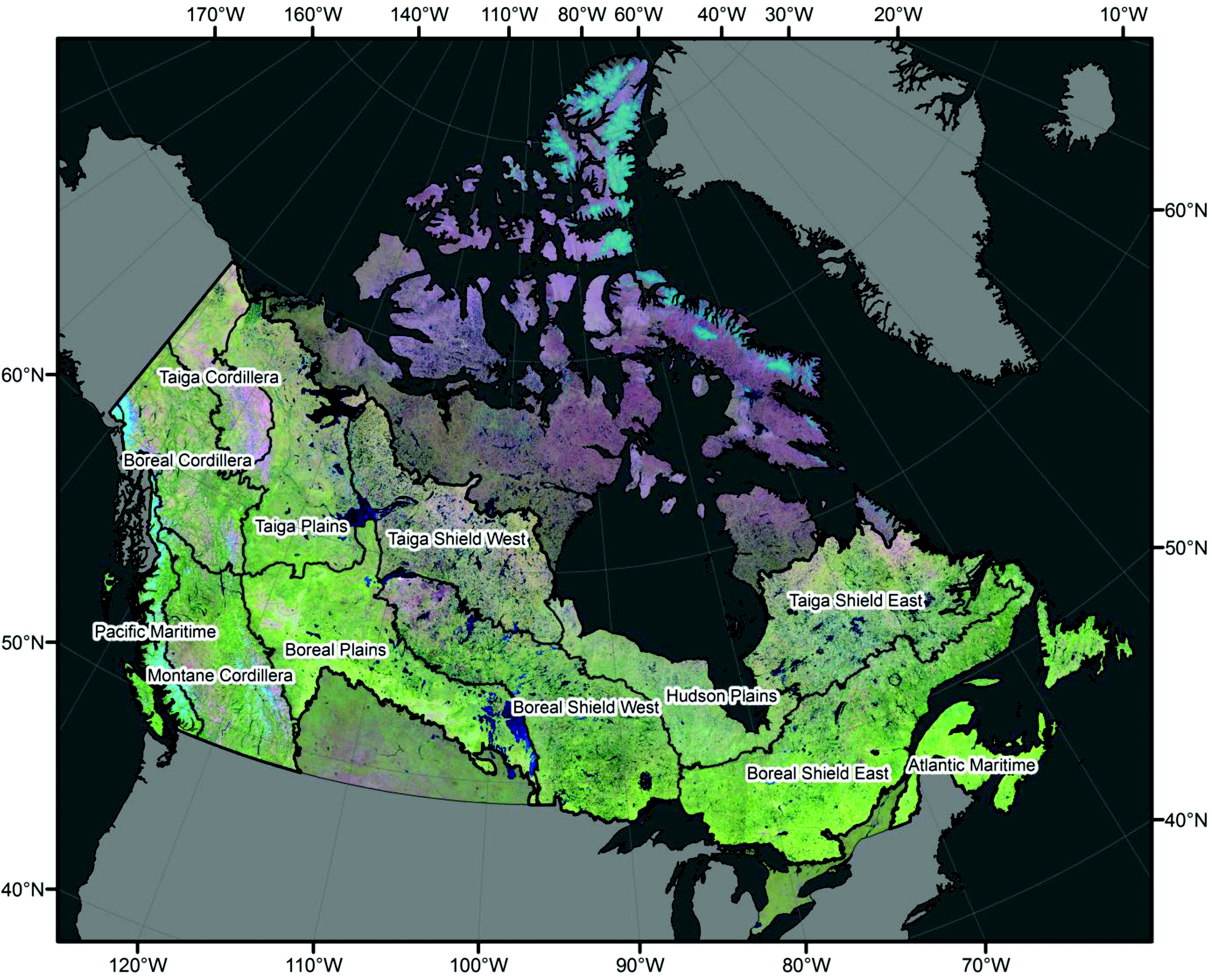 False colour composite (bands: shortwave infrared, near infrared and red) for 2010. Each pixel in this image was selected based on its classification as a Best Available Pixel (BAP) [@hermosilla_disturbance-informed_2018].