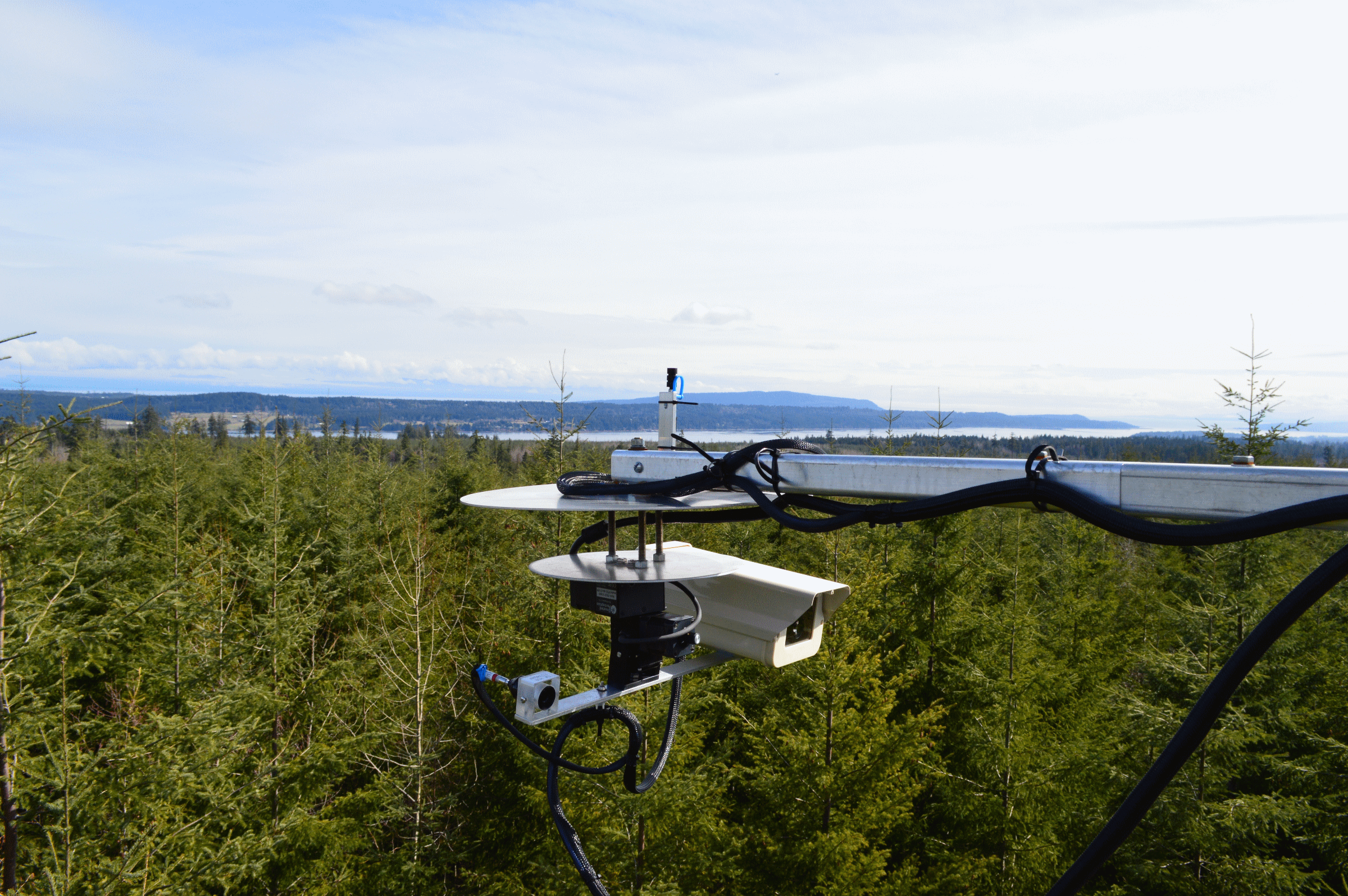 AMSPEC radiometer affixed to a carbon flux tower located in Buckley Bay, Vancouver Island, Canada [@coops_amspec_nodate]. Used with permission.