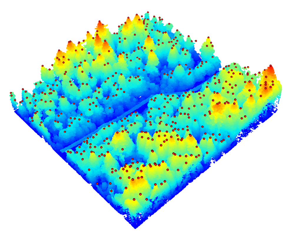 Example of tree tops detected using the `find_trees` function. Du Toit, CC-BY-SA-4.0.